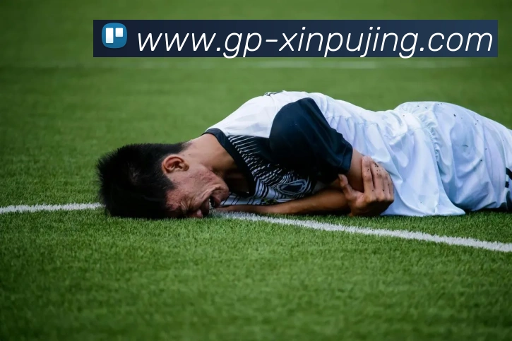 澳门新葡京娱乐APP 封面图